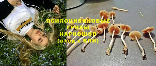 экстази Алзамай